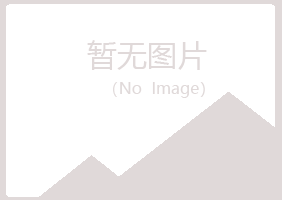 鹤岗兴山冷卉金属有限公司